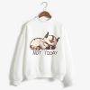 Hot Avatar The Last Airbender Sweatshirts Men Appa Yip Harajuku Print Casual Loose Hoodies Male Fashion - Avatar: The Last Airbender Store